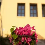 The Old Town House Διαμέρισμα *