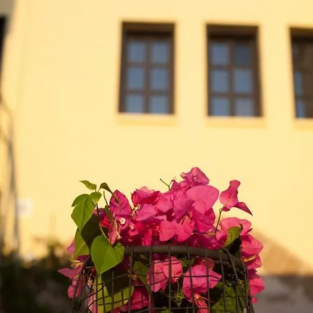 The Old Town House Apartment *