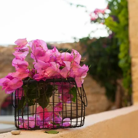 Apartment The Old Town House