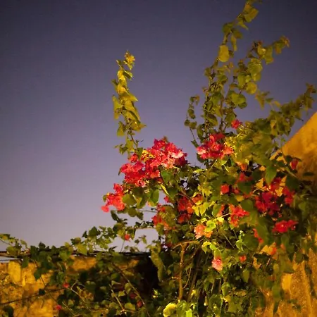 The Old Town House Rhodes City