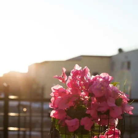 The Old Town House *