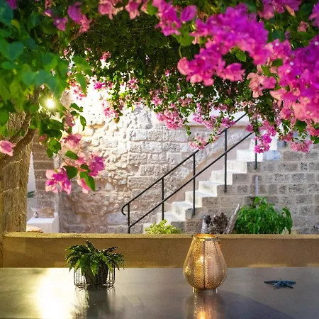 The Old Town House *